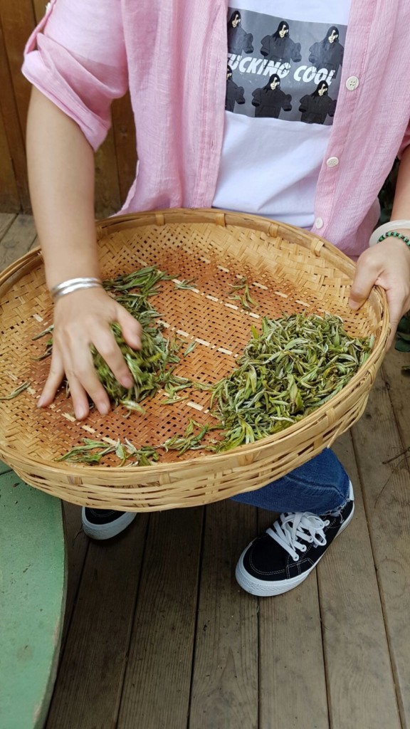PÀO CHÁ