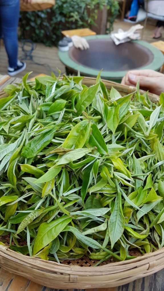 PÀO CHÁ