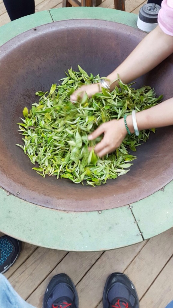 PÀO CHÁ