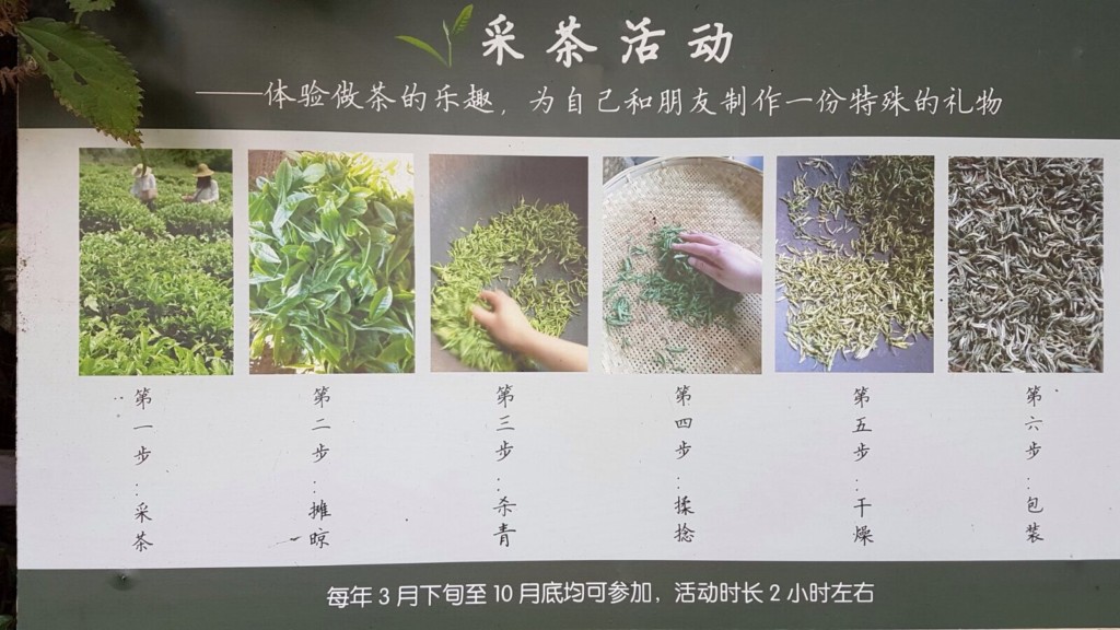 PÀO CHÁ