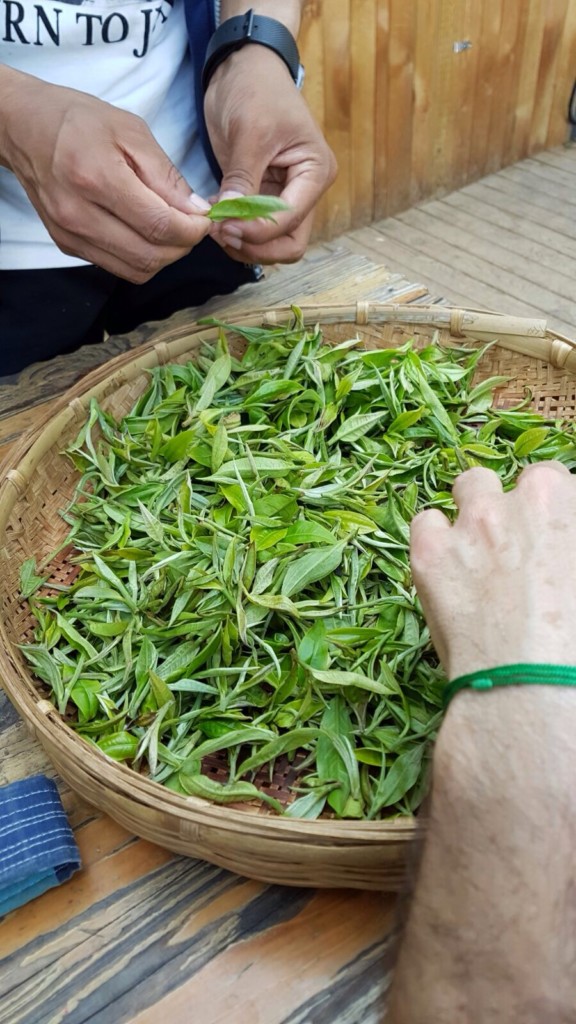 PÀO CHÁ