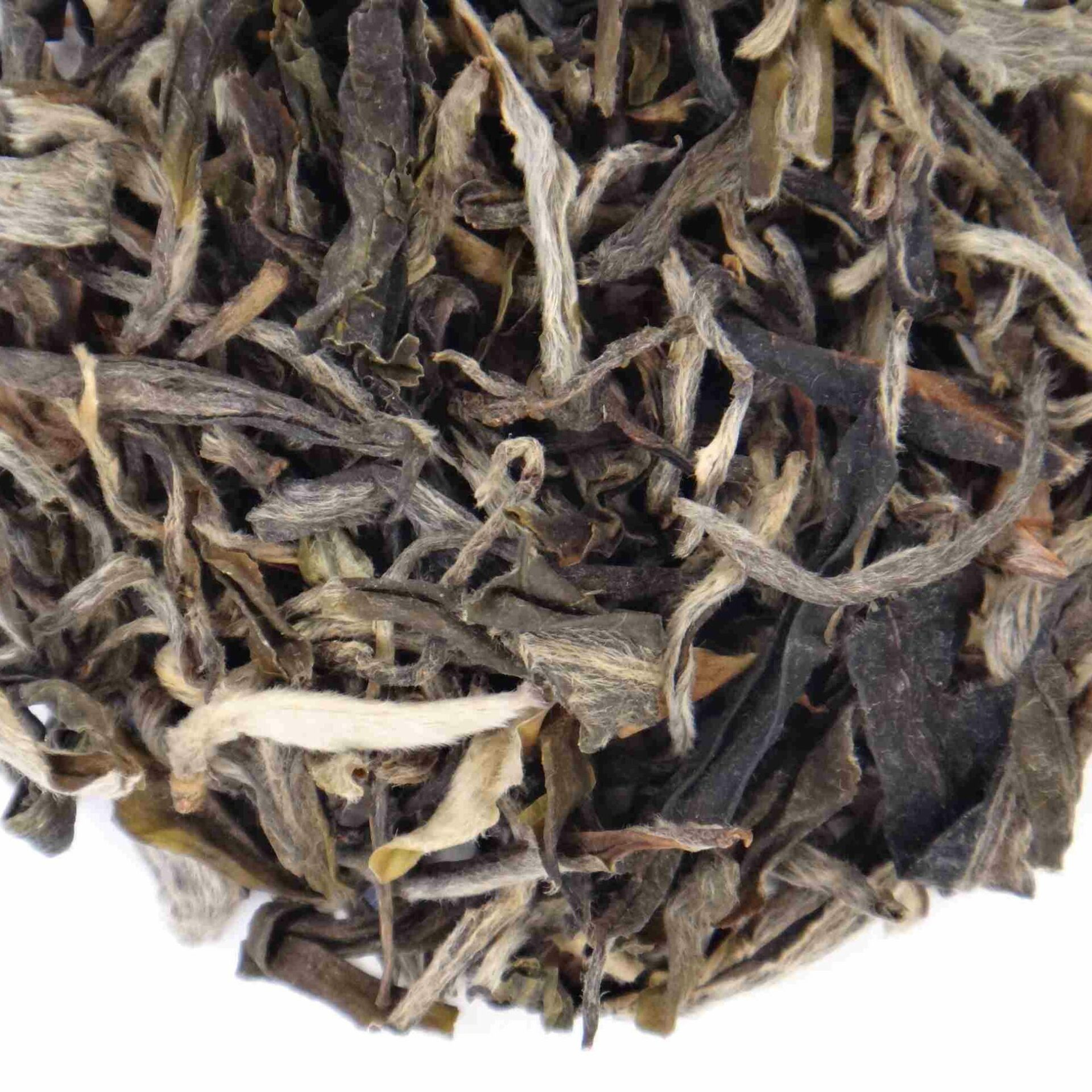 Ajouté à la Wishlist