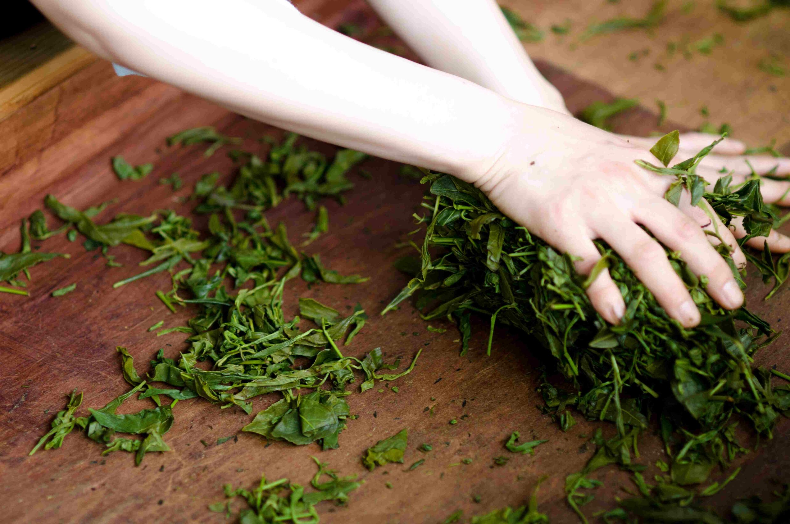 Temomicha - Roulage à la main (2)