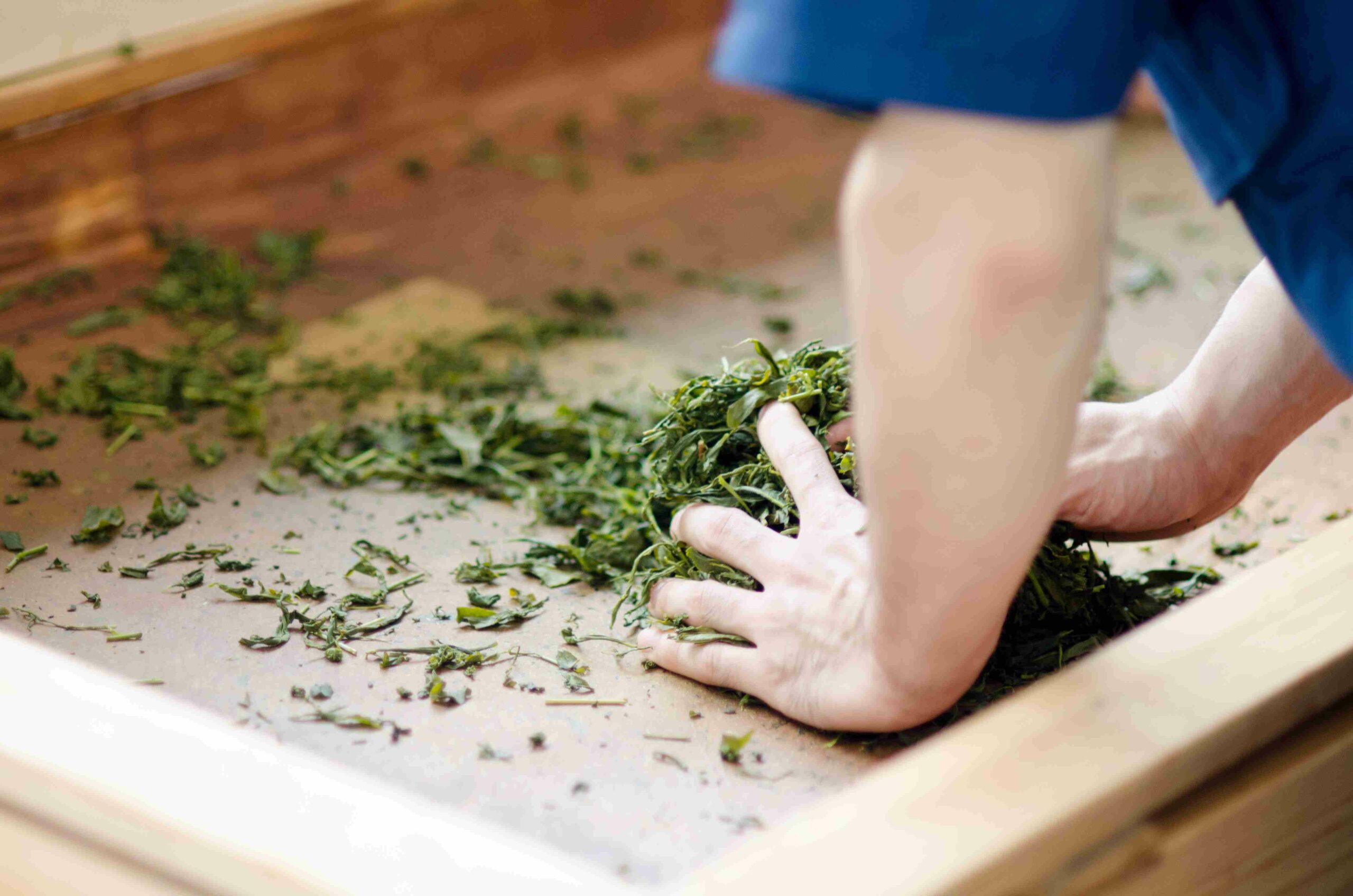 Temomicha - Roulage à la main