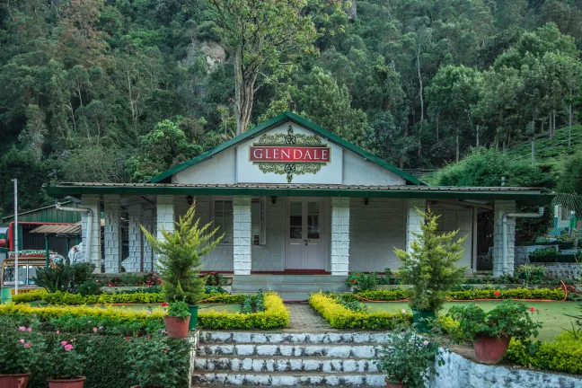 Glendale Tea Estate