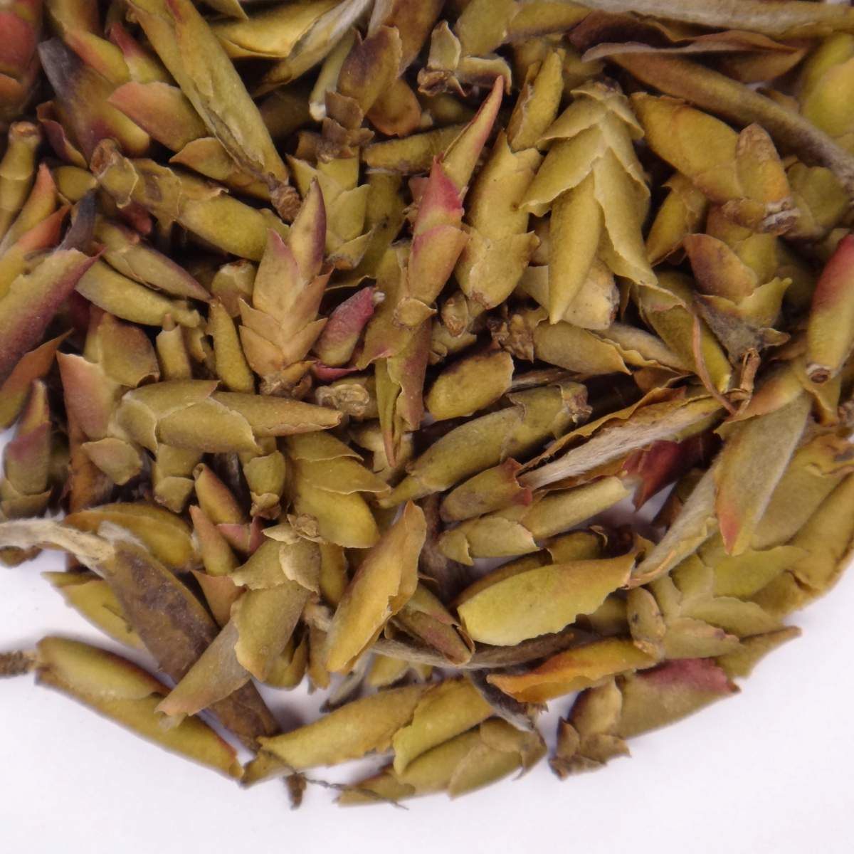 Ecailles de Dragon (Ya Bao)