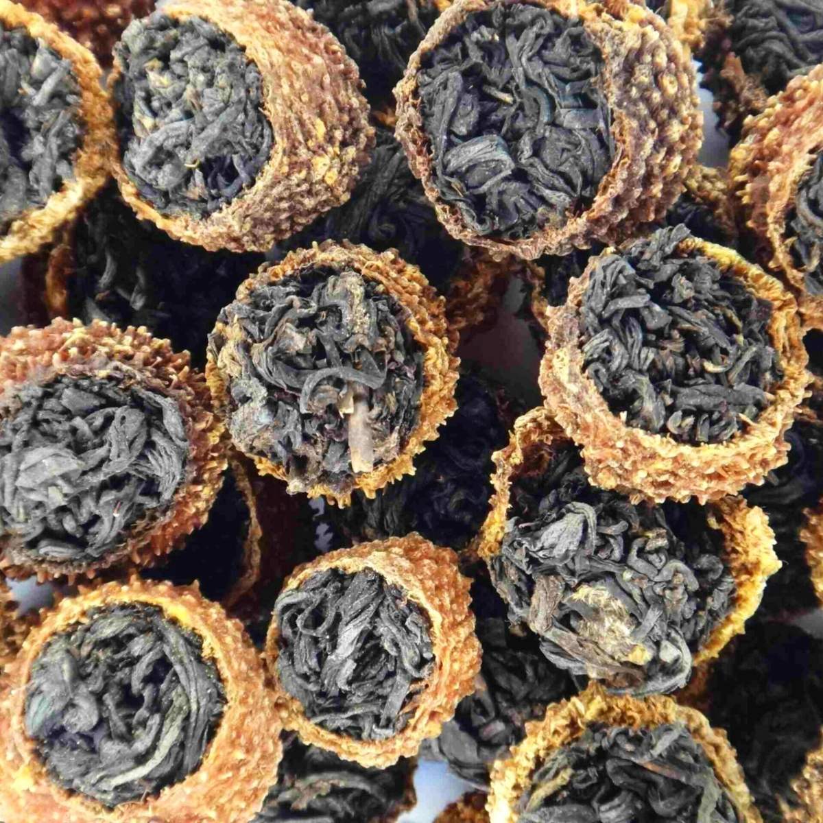 Fruit du Rosier Châtaigne Fourré au Thé Noir