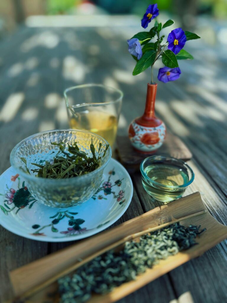 Duyun Mao Jian printemps 2026, thé grand cru du Guizhou, en feuilles et en tasse