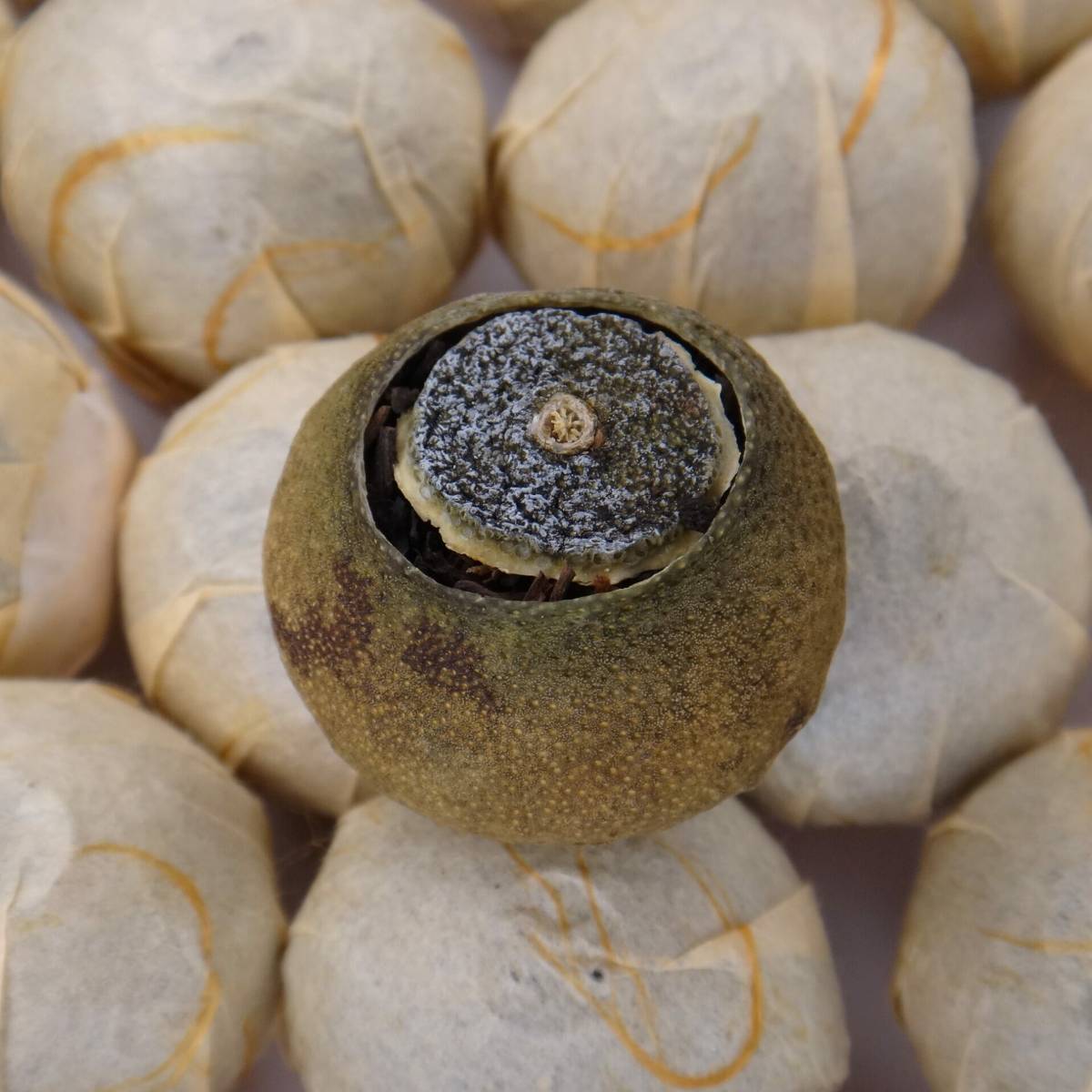 Pu'er Mandarine