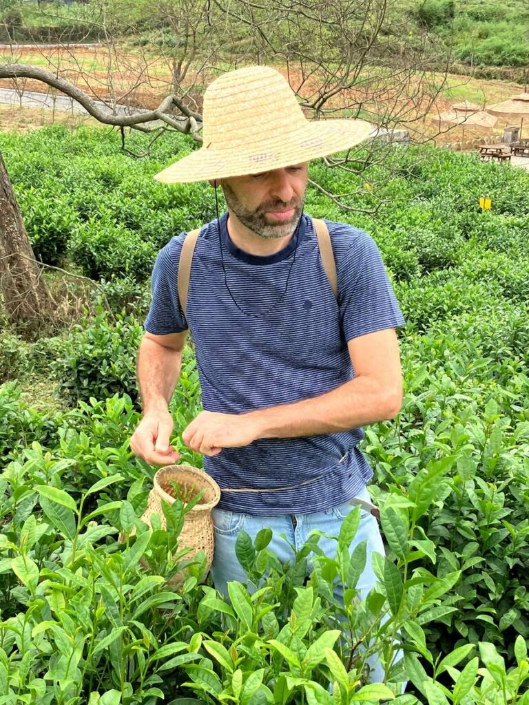 Sébastien de PÀO CHÁ dans une plantation de thé du comté de Yi, Huangshan, Anhui, Chine